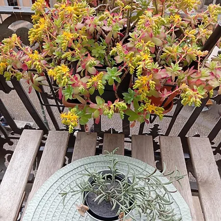 Il Balconcino 公寓 *